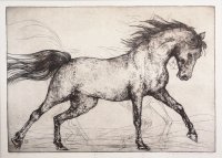 Edita Suchotskytė „Ristūnas“, 2018, 50 x 70, ofortas